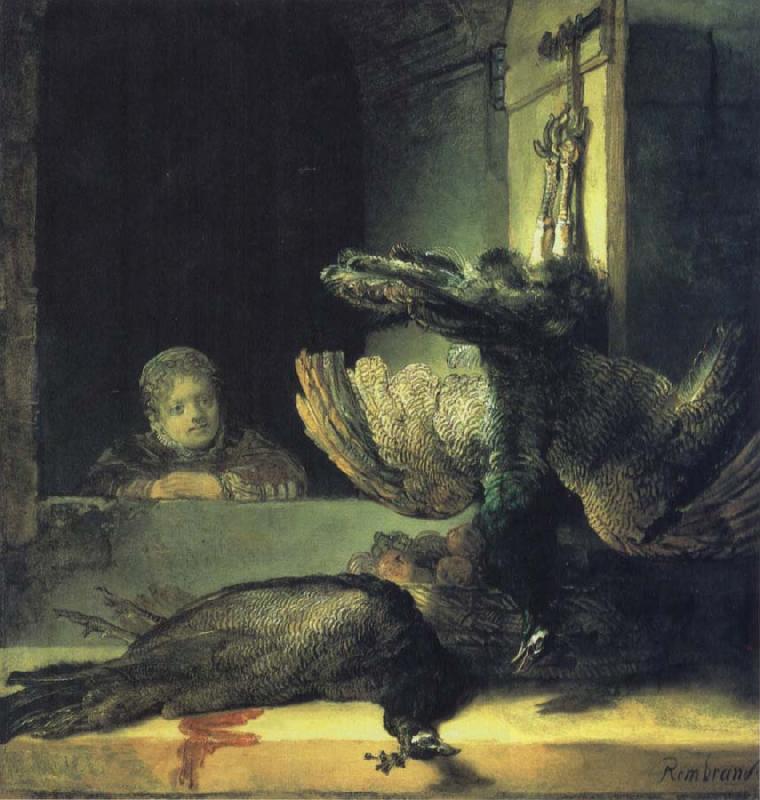REMBRANDT Harmenszoon van Rijn Girl with Dead Peacocks oil painting picture